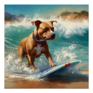 Póster Pintado americano de surf en Staffordshire Beach