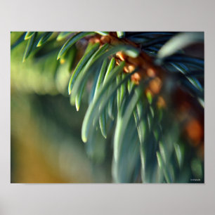 Póster Pintado Bella Artes Framable de Gemelos Púrpura-E