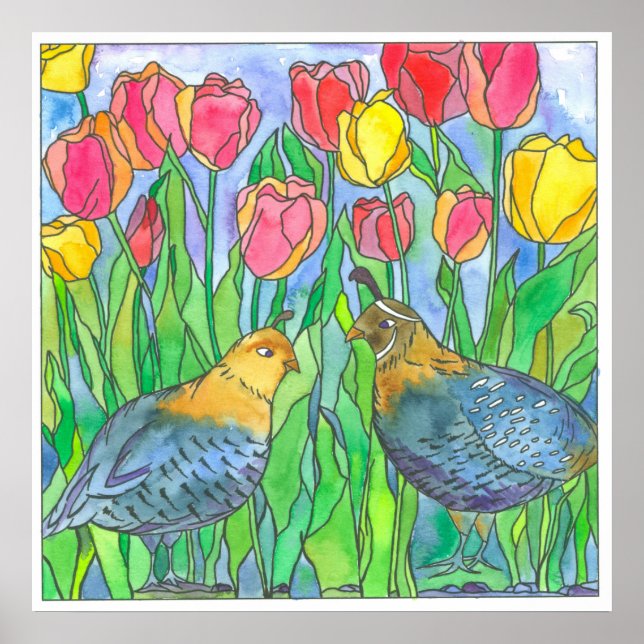 Póster Pintado de acuarela de tulipanes rosados de cola (Frente)