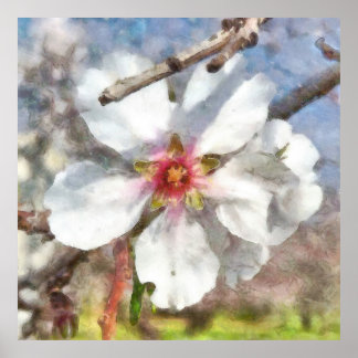 Póster Pintado de color de agua del estudio de la floraci