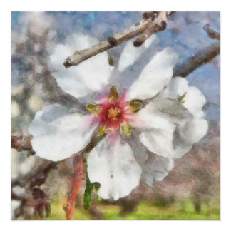 Póster Pintado de color de agua del estudio de la floraci
