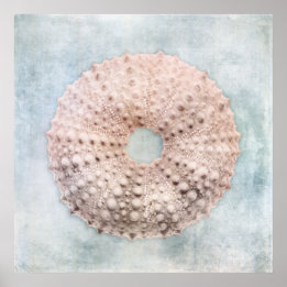 Póster Pintado de crema azul costera con problemas de orc