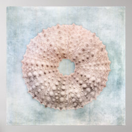 Póster Pintado de crema azul costera con problemas de orc