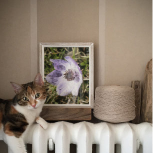 Póster Pintado de flores silvestres Lilac Blue Anemone Co