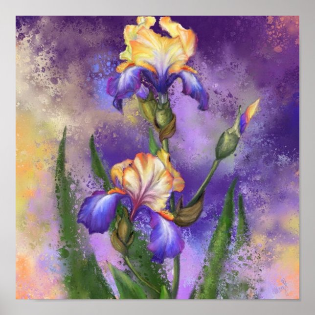Póster Pintado de Iris Flowers Poster Irises (Frente)