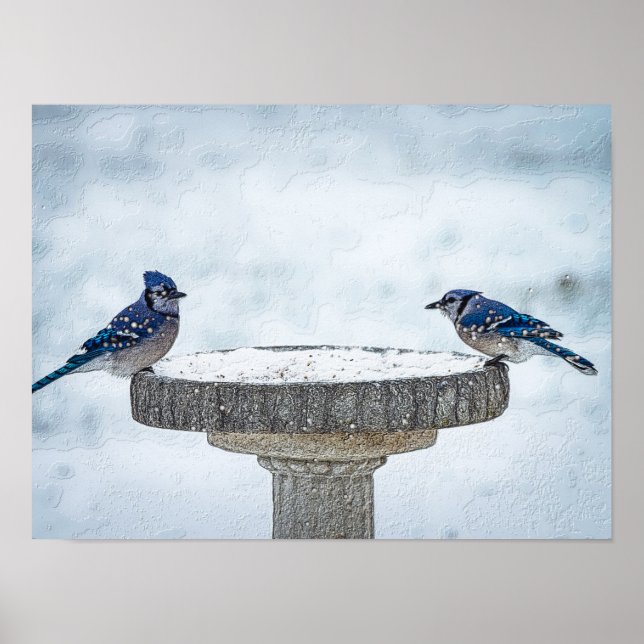 Póster Pintado de lados opuestos (Frente)