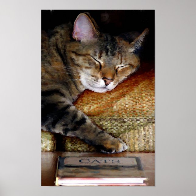 Póster Pintado de libros de gatos con sueño (Frente)