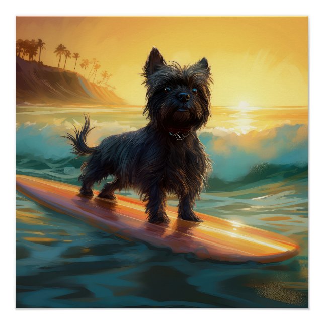 Póster Pintado de surf Affenpinscher Beach (Anverso)