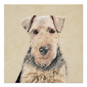 Póster Pintado de Welsh Terrier - Arte de Perro Original.