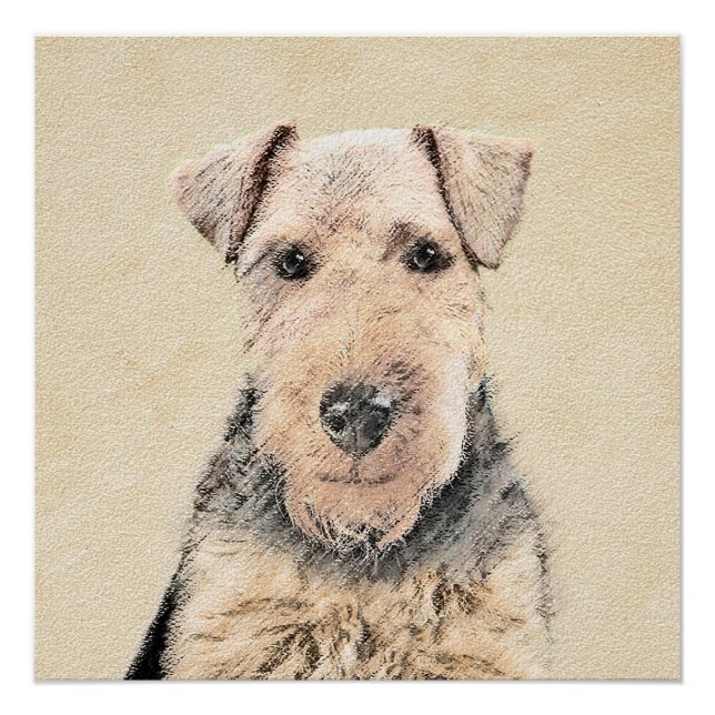 Póster Pintado de Welsh Terrier - Arte de Perro Original. (Anverso)