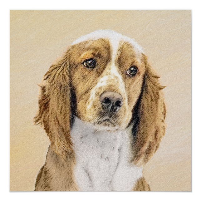 Póster Pintado español de Springer galesa - Arte de perro (Anverso)