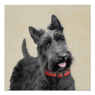 Póster Pintado Terrier Escocés - Arte Perro Original