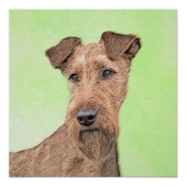 Póster Pintado Terrier Irlandés - Arte de Perro Original. (Anverso)
