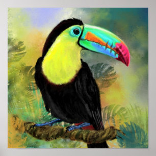 Póster Pintado Toco Toucan Bird Poster