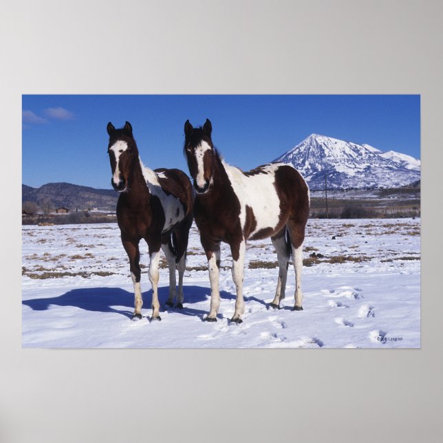 Póster Pintando caballos de pie en la nieve (Frente)