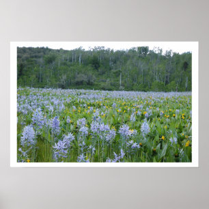 Póster Pintando el campo