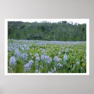 Póster Pintando el campo