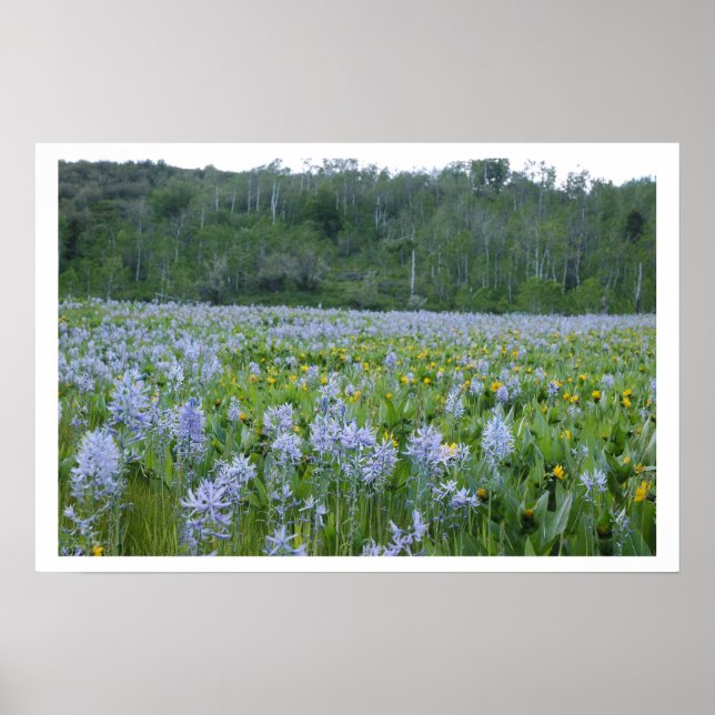 Póster Pintando el campo (Frente)