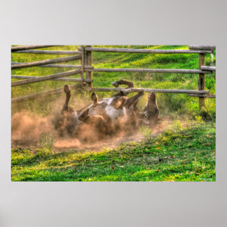 Póster Pintando el rollo de caballos en una divertida fot