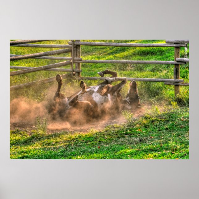 Póster Pintando el rollo de caballos en una divertida fot (Frente)