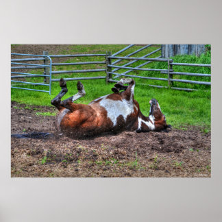 Póster Pintando el rollo de caballos en una divertida fot