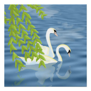 Póster Pintando la pareja azul y verde de cisnes en el la