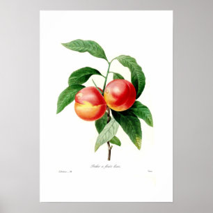 Póster Pintar