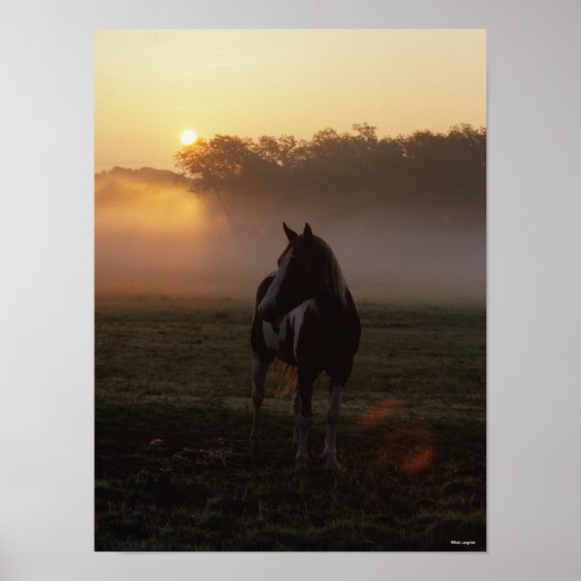 Póster Pintar Caballo De Pie En Niebla Al Amanecer (Frente)