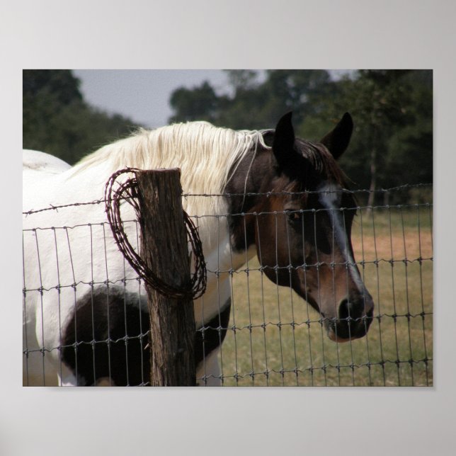 Póster Pintar caballo y valla (Frente)