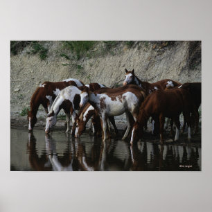 Póster Pinte la consumición de los caballos