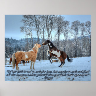 Póster Pinto Paint Stallits, Nieve y Rumi