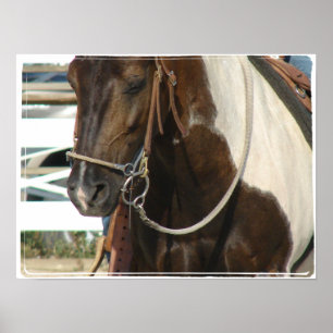 Póster Pinto Pony Occidental