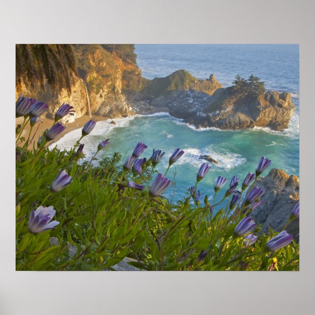 Póster Pintoresca McWay Falls cae en la playa y (Frente)