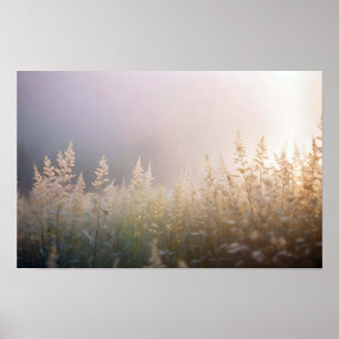 Póster Pintoresca Naturaleza de Paisaje Fondo