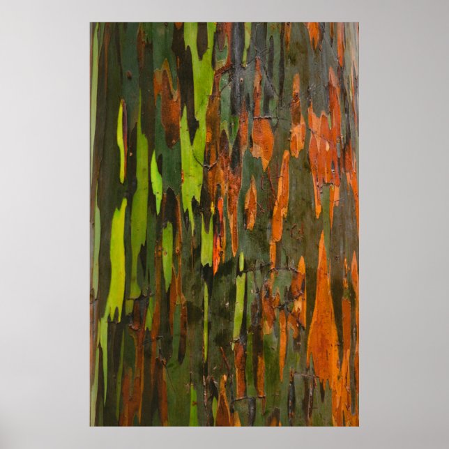 Póster Pintura abstracta verde, naranja y negra (Frente)