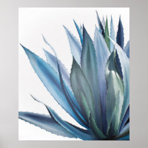 Pintura acrílica de Agave azul