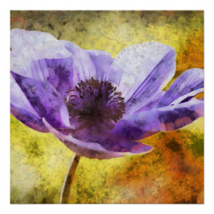 Póster Pintura acrílica de flores de anémona malva