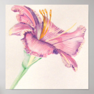 Póster Pintura acrílica de Lirio Rosa