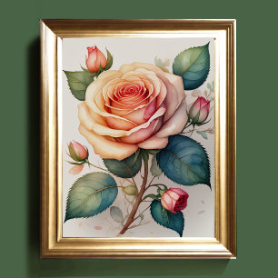Póster Pintura acuarela de un Rosa rosa II