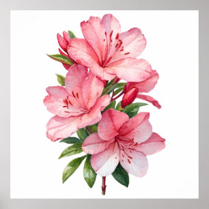 Póster pintura al acuarela de flor de azalea
