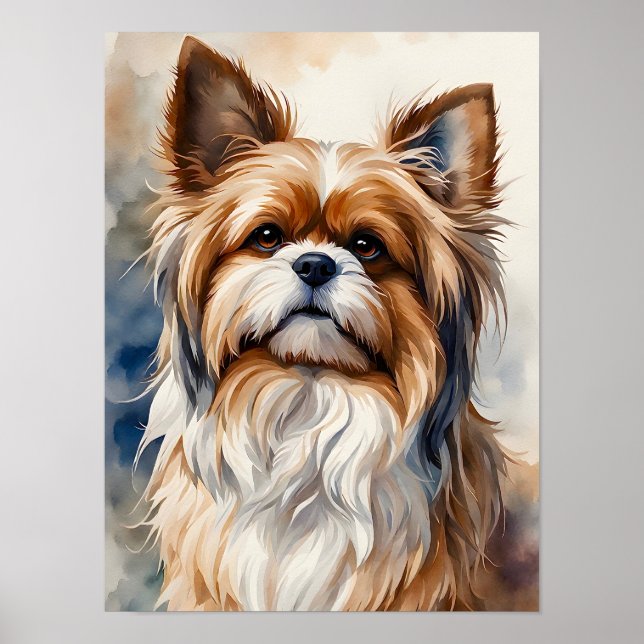 Póster Pintura al agua de un simpático Shih Tzu (Frente)