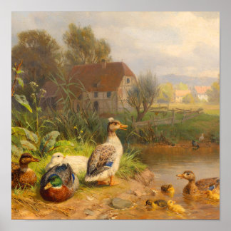 Póster Pintura al óleo antigua de un estanque de patos en