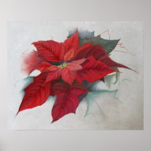 Póster Pintura al óleo del navidad del Poinsettia