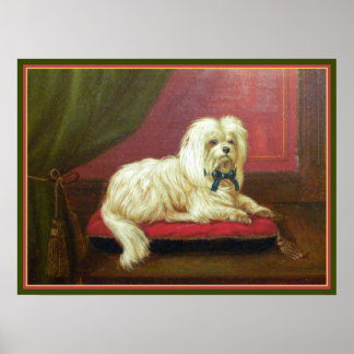 Póster Pintura antigua - Maltés mimado en una almohada