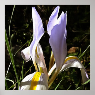 Póster Pintura argelina de flores silvestres hiperrealist