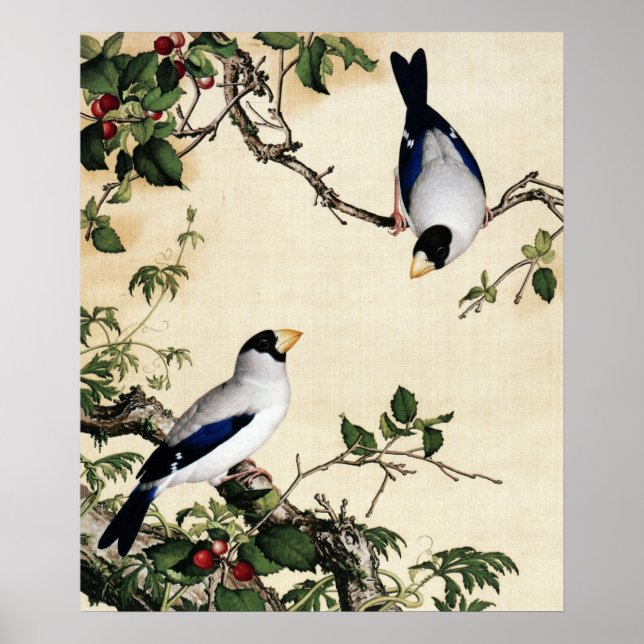 Póster Pintura artística de aves antiguas en rama de cere (Frente)