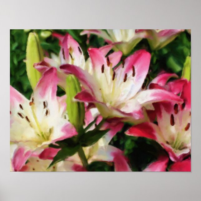 Póster Pintura artística de flores de Lilies sonrientes (Frente)