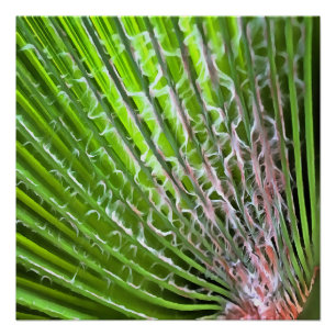 Póster Pintura artística de hojas tropicales de árbol de