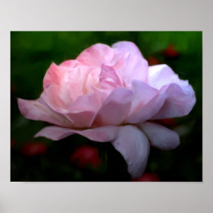 Póster Pintura artística de la flor rosa rosa celestial