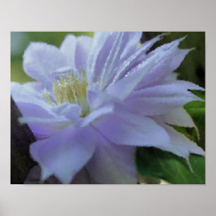Póster Pintura artística de las flores de Lavender Clemat